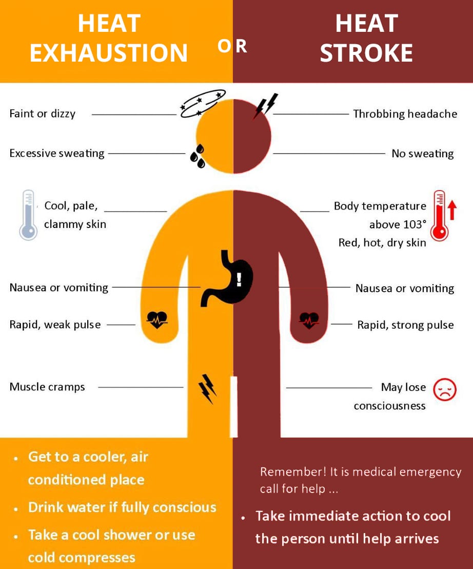 Heat safety infographic