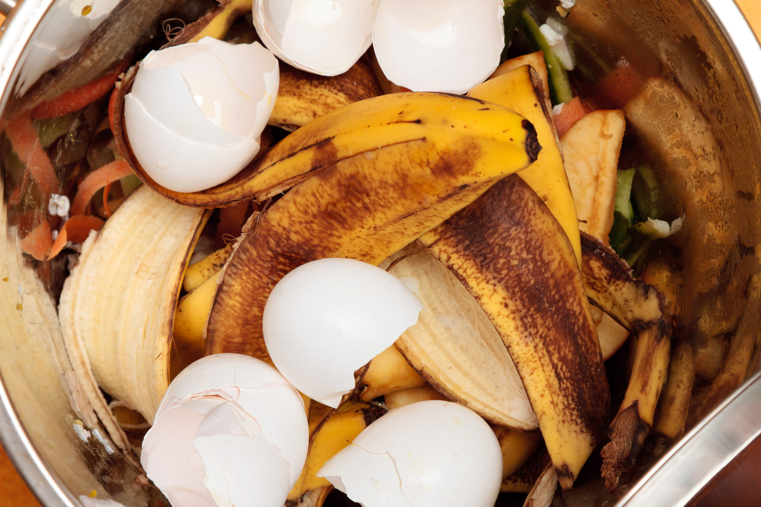 Banana peels and egg shells in compost