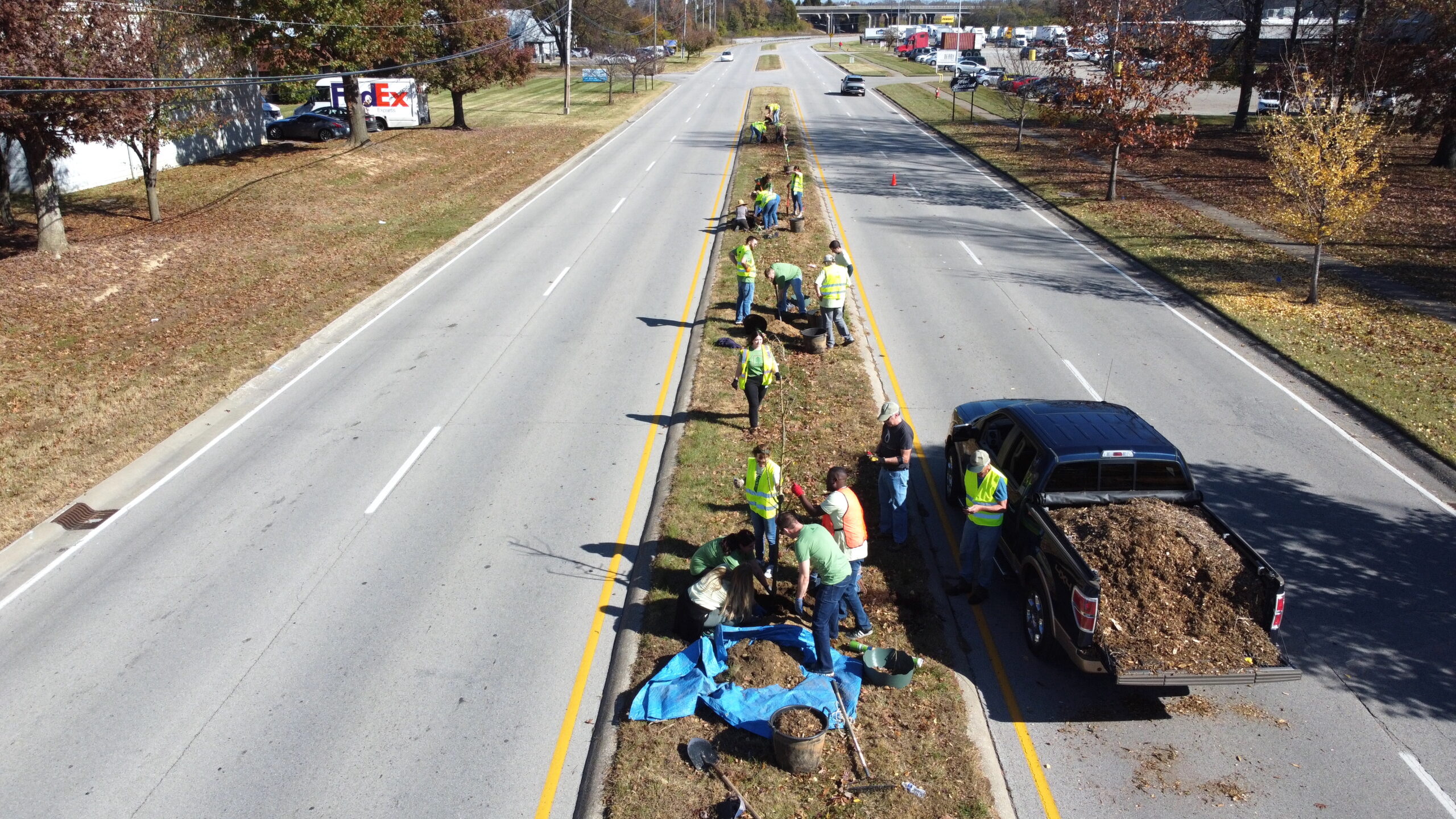 Premier Employees plant trees