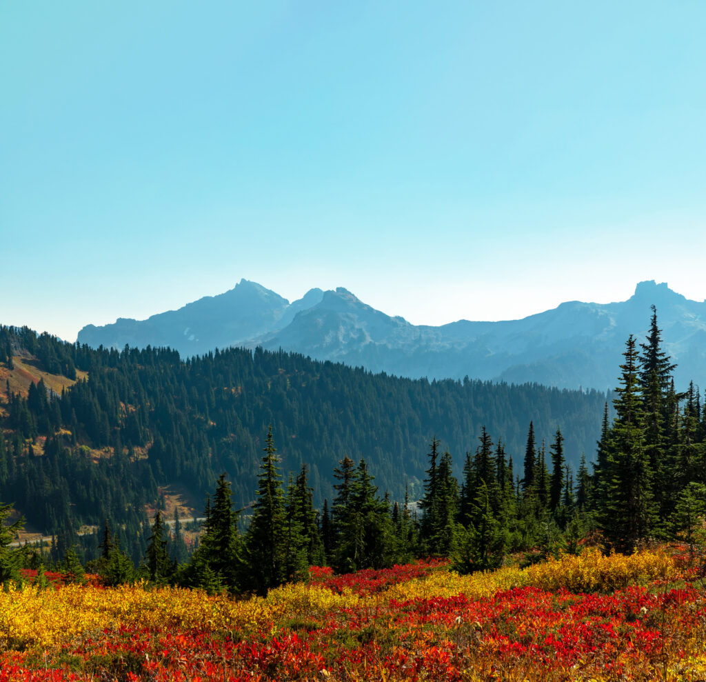 2023 Sustainability Report Cover Photo; Blue mountains with yellow and red flowers in foreground; sustainability goals.